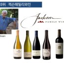 로버트개러지 이미지