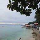 산호헬스 | 🌊🌴🌊 세부 모알보알 파낙사마 해변 스노클링 솔직 후기