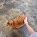 금오산로-25 이미지