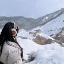 남지계곡 입구 이미지