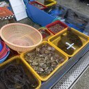 한솥도시락 민락수변공원점 이미지