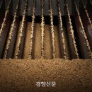북신안농협미곡종합처리장 경향신문