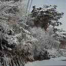 라호야펜션 이미지