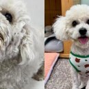 형제열쇠광고 이미지