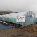 대둔산딸기학교