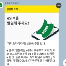 금호타이어토탈카서비스 | 대마도 여행 1박 2일 경비 씨플라워호/렌터카/호텔 정보 및 후기