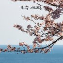 예래동-5 이미지