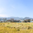 구례상설시장 이미지