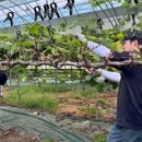 농부의꿈 이미지