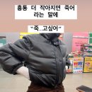 공주네펜션 | 2025 시작 🧧✨