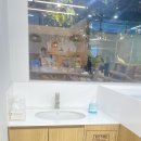 동물농장 | [울산]헬로우쥬 실내동물원 내돈내산 찐 리뷰