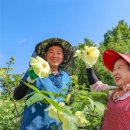 오선농장 이미지