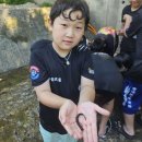 특공무술주짓수무예원