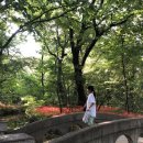 석산민박 이미지