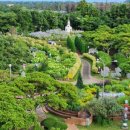 제주허브동산 이미지