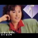 나무와 새 이미지