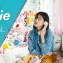 STELLA KOREA 이미지