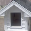 전원애견 이미지