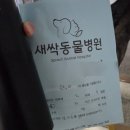 새싹 동물병원 네이버블로그