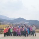 정다운주야간보호센터 이미지