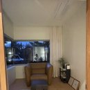 숲에게 | 제주 조천 숙소 추천｜숲에게 독채 감성숙소 솔직 후기 (함덕 근처)