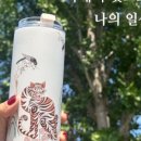 자개빛