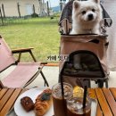 카페(cafe) 잇다 | 장성 애견동반 카페 <잇다>베이커리카페| 반려견 야외카페추천