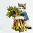 인제농장 이미지