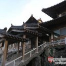 번개농장 이미지