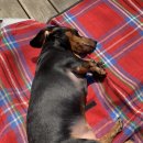 포천 화적연 캠핑장 이미지