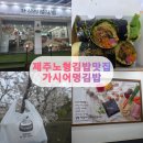 노형 제3공영주차장 | 제주 노형 맛집 🍱 기본김밥부터 키토김밥까지 가시어멍김밥 후기