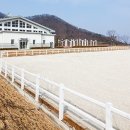 소노펠리체 승마클럽 이미지