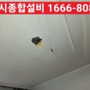 장수서창동-24 이미지