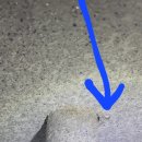 주공5단지아파트 이미지