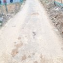 태경농장2 이미지