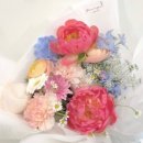 신안코아 이미지