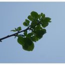 (주)푸르네 이미지