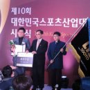 씨에스토탈주