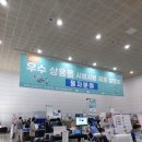 티기미