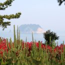 아름다운 산책 이미지