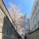 돼지꿈꾼날 - 양산시 평산중앙로 21 | 꾼 꿈의 뒷 내용이 궁금해서 한 번 더 잤다네