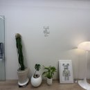 소담촌배곧신도시점(새롬프라자2차내 위치) | [시흥 속눈썹펌] 이뽐뷰티 배곧 속눈썹펌 맛집 방문 솔직 후기