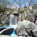 영산약품 이미지