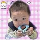 기시기 | 신생아 치발기 로르단치발기 구강발달 뿐만 아닌 소근육 발달 까지 ? 리얼 후기 / 아기치발기 추천 ෆ