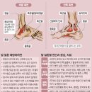 바른몸의원 이미지