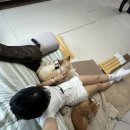 푸름켄넬 이미지