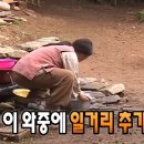 유쉐프의도시어부이천