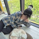 솔빈마루 이미지