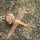 하동 섬진강변길 이미지