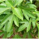 나무교역 이미지